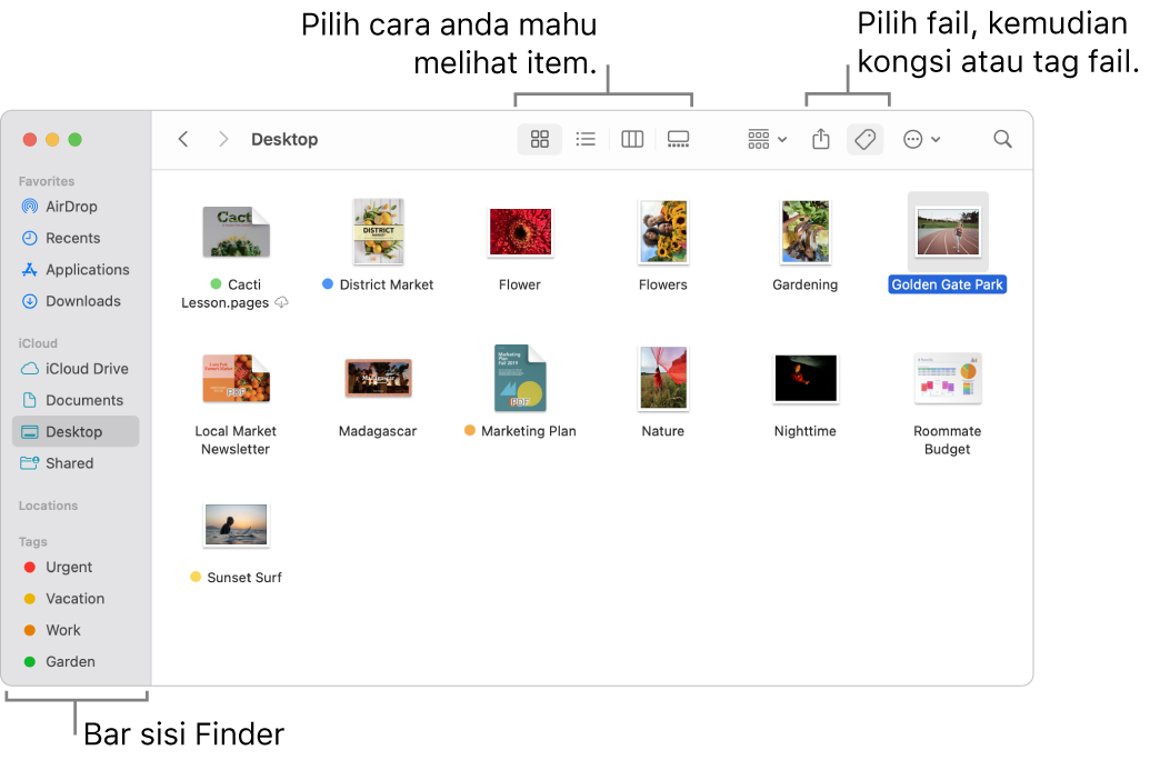 Tetingkap Finder dengan bar sisi Finder di sebelah kiri. Di bahagian atas tetingkap ialah empat butang yang menukar cara item ditunjukkan dalam tetingkap dan butang tambahan untuk mengatur dan berkongsi item.