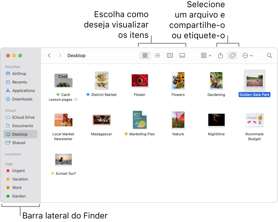 Uma janela do Finder com a barra lateral do Finder à esquerda. Na parte superior da janela há quatro botões que alteram a maneira como os itens são mostrados na janela e outros botões para organizar e compartilhar itens.