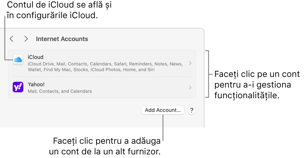 Configurările Conturi internet cu lista de conturi configurate pe Mac.