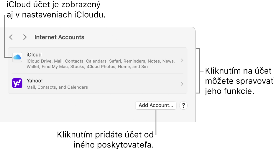 Nastavenia Internetové účty so zoznamom účtov, ktoré sú nastavené na Macu.