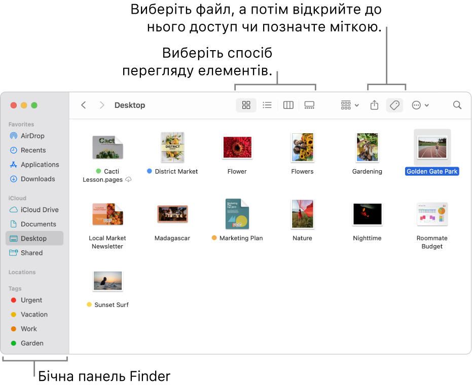 Вікно Finder з бічною панеллю Finder ліворуч. Вгорі вікна розміщені чотири кнопки, за допомогою яких можна змінювати вигляд елементів у вікні, а також додаткові кнопки для впорядкування й поширення елементів.