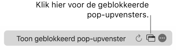 Het slimme zoekveld met een knop om het aantal geblokkeerde pop‑upvensters te tonen.