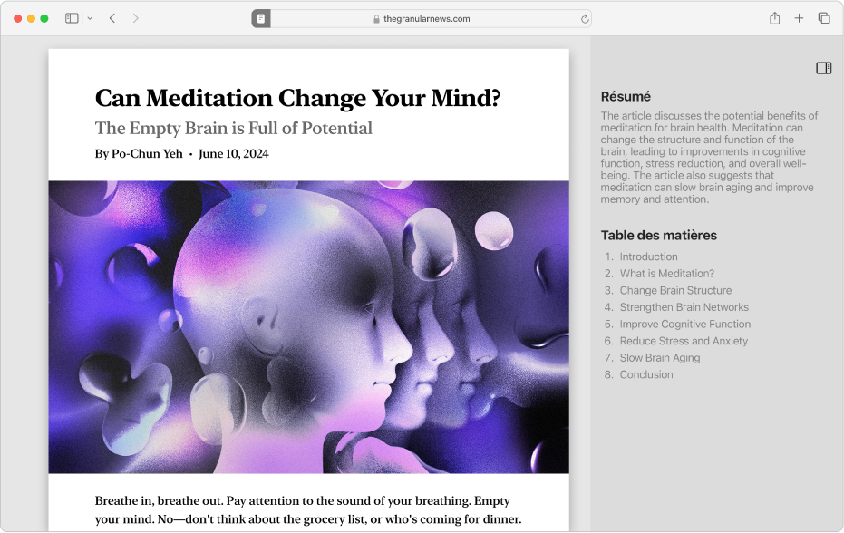 Fenêtre du lecteur qui affiche le début d’un article, une table des matières et un résumé.