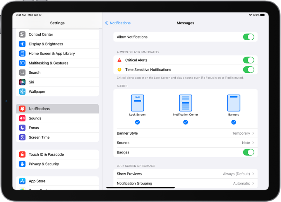 iPad with Messages settings for notifications and alerts.
