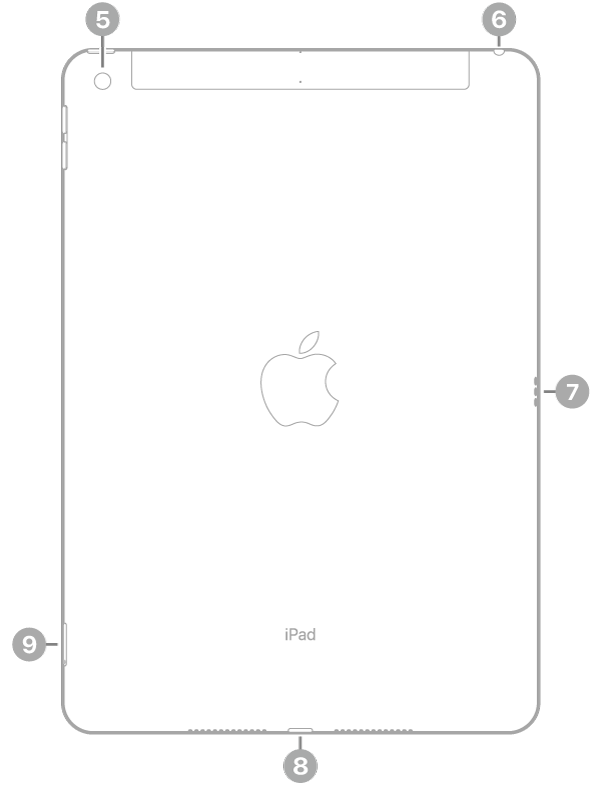 The back view of iPad with callouts to the rear camera at the top left, the headphone jack at the top right, the Smart Connector on the right, the Lightning connector at the bottom center, and the SIM tray (Wi-Fi + Cellular) at the bottom left.