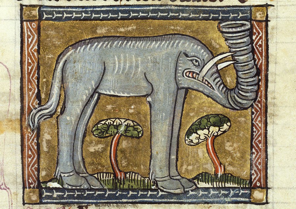 middeleeuwse kunst bizarre trends olifant der naturen bloeme