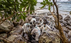 Volunteers try to clean up oil spilled from the tanker Princess Empress, which sank off Mindoro island in February.