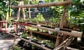 A vertical garden beside the river in Tongkol kampung.