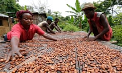 People work with cocoa beans in Enchi, Aowin district, Ghana.