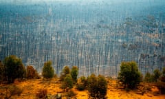 Bushfire devastation in Australia