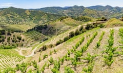 Vineyards on the schist slopes of the Priorat wine region of Catalonia, Spain.