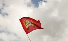 Tamil Tiger flag