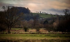 Clitheroe pub walk<br>© Joel Goodman for the Guardian - 07973 332324 - all rights reserved . 27/02/2023 . Lancashire , UK . Sheep on a farm by the River Ribble . Clitheroe pub walk through Chatburn, Grindleton, West Bradford, Waddinton and Waddow Hall . Photo credit : Joel Goodman