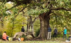 The group sketching in Epping Forest.