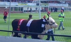 Screengrab taken from youtube showing Ronaldo The Bull on Parade before Hereford FC's first ever League game against Dunkirk - August 2015