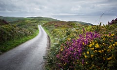 Road on Cape Clear island off the coast of Cork, south west coast of Ireland, lined with purple heather and yellow gorse flowers<br>F1KF6A Road on Cape Clear island off the coast of Cork, south west coast of Ireland, lined with purple heather and yellow gorse flowers