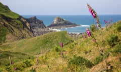 Gull Rock and Marsland mouth on the Devon and Cornwall border on the South West coast path near Morwenstow<br>BNAER9 Gull Rock and Marsland mouth on the Devon and Cornwall border on the South West coast path near Morwenstow