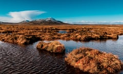 Flow Country peat bogs at Forsinard, Scotland<br>View over the peat bogs towards Ben Griam Beag, at Forsinard, in the Flow Country of the Sutherland region of Scotland. Peat bogs used to be drained to free-up land for forestry and agriculture until their importance as a global carbon store in Global Warming was understood. Covering 1500 square miles in area, the Flow Country blanket peat bog is the largest in Europe.