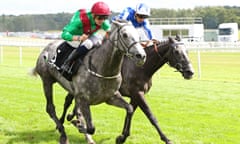 Horse Racing - 17 Aug 2019<br>Mandatory Credit: Photo by Ian Headington/racingfotos.com/REX/Shutterstock (10363868y) TECHNICIAN (near) ridden by Rob Hornby beating Morando in The Geoffrey Freer Stakes (Group 3) at Newbury Copyright: Ian Headington/racingfotos.com Horse Racing - 17 Aug 2019