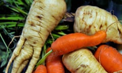 Oddly shaped parsnips and carrots