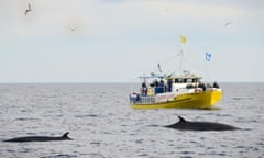 Whitby Whale Watching’s Summer Queen boat with minke whale nearby