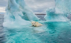 Canada, Nunavut Territory, Repulse Bay, Polar Bear (Ursus maritimus) swimming beside melting iceberg near Arctic Circle on Hudson Bay