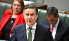 Federal health minister Mark Butler in parliament