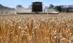 a paddock of barley being harvested