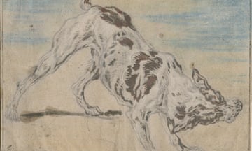 Joannes Fijt, Study of a Dog.