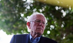 Bernie Sanders under a tree.