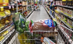 A shopping trolley pushing food