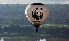 A WWF hotair balloon flies over the Amazon River