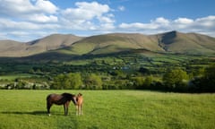 Green hills in Tipperary