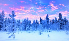 bog swamp snow winter afterglow sunset forest Gaellivare lapland norrbotten sweden scandinavia landscape scenery<br>B76774 bog swamp snow winter afterglow sunset forest Gaellivare lapland norrbotten sweden scandinavia landscape scenery