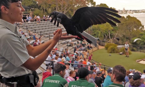 Bird keepers at Sydney's Taronga zoo name their favourite Australian birds – video