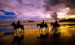 Horses amble at the edge of the Pacific ocean at dusk, Manuel Antonio, Costa Rica