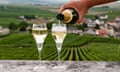 Tasting of brut and demi-sec white champagne sparkling wine from special flute glasses with Champagne vineyards on background near Cramant, France<br>Tasting of brut and demi-sec white champagne sparkling wine from special flute glasses with view on green Champagne vineyards, France