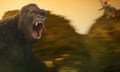 Kong: Skull Island, 2017, film still