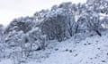 snow at Perisher