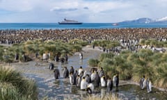 Want to see crabeater seals in the Antarctic? The luxury goods giant LVMH can set you up with an eight-day cruise – price on application.