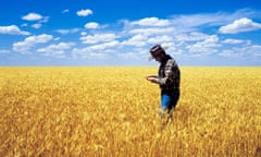 Wheat farmer