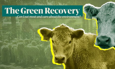 The Green Recovery: can I still eat meat if I care about the environment? – video