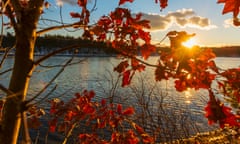 USA, Massachusetts, Concord, Walden Pond, Autumn leaves<br>Walden Pond, Concord, Massachusetts, USA