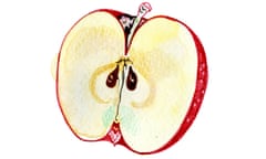 Illustration of a red apple cut in half to show the seeds, on a white background