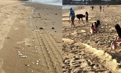 Screenshot from video of polystyrene spill on Sunshine Coast