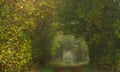 A tree lined country path in autumn mist, Adderbury Oxfordshire.