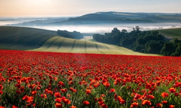 Field of Red, Houghton, West Sussex, England