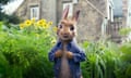 Peter Rabbit