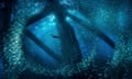 A cormorant swims through baitfish under the oil rigs in Southern California.