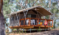 A recent addition to Port Stephens Koala Sanctuary: glamping tents, which help fund their conservation efforts.